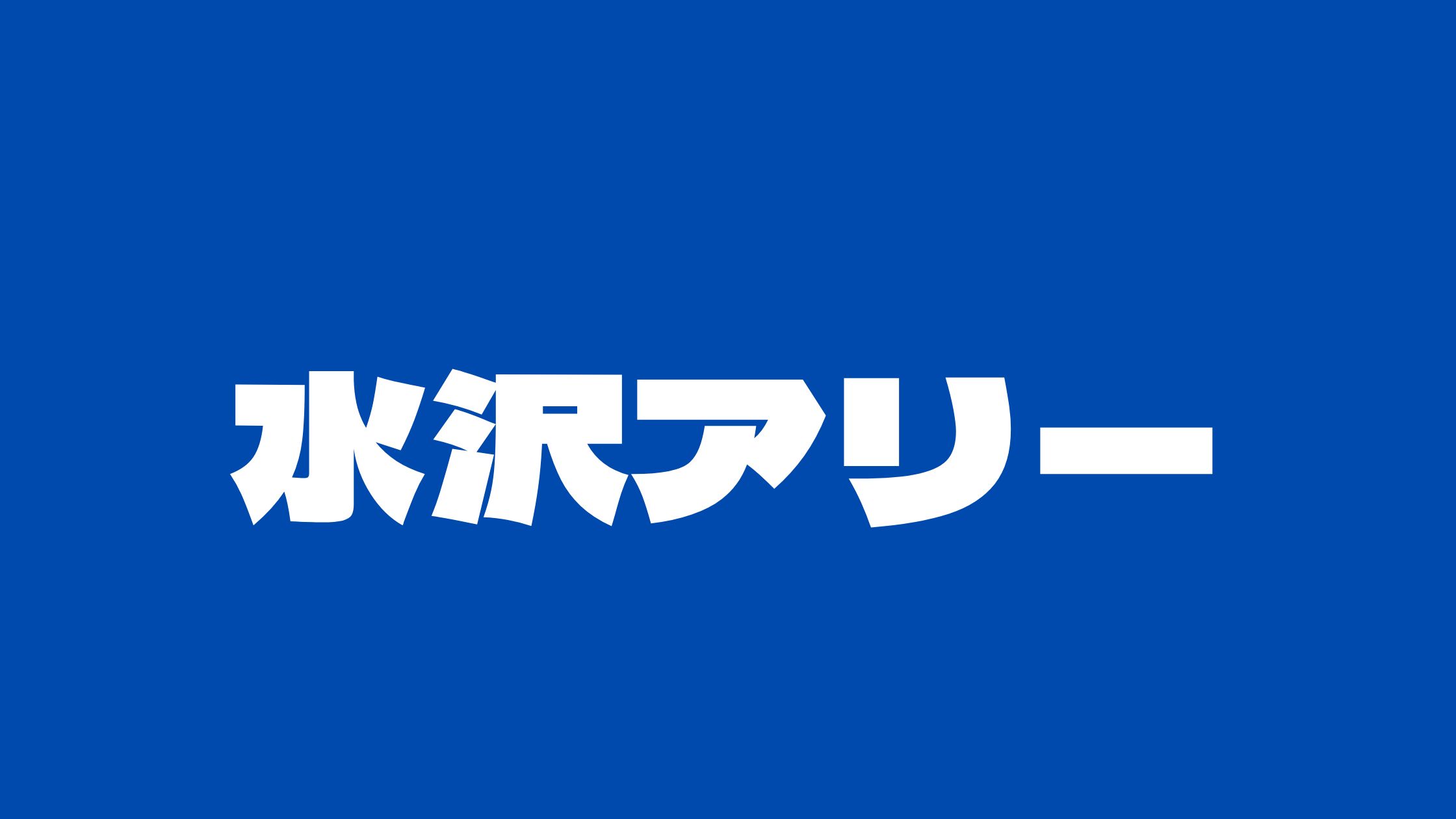 水沢アリーの現在と大学フランス語や国籍/会社/両親についてインスタや本名についても徹底調査